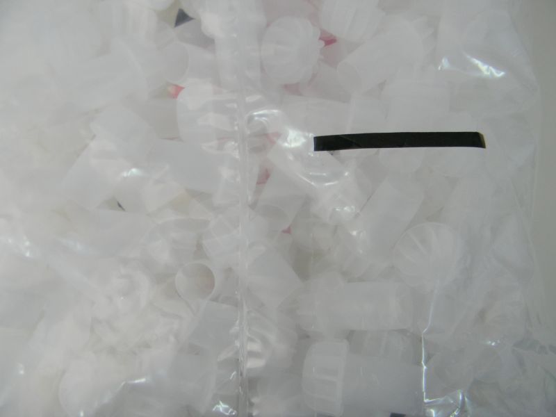 DSCN9954.jpg