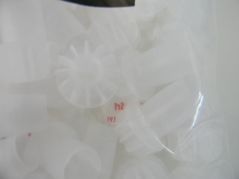 DSCN9955.jpg